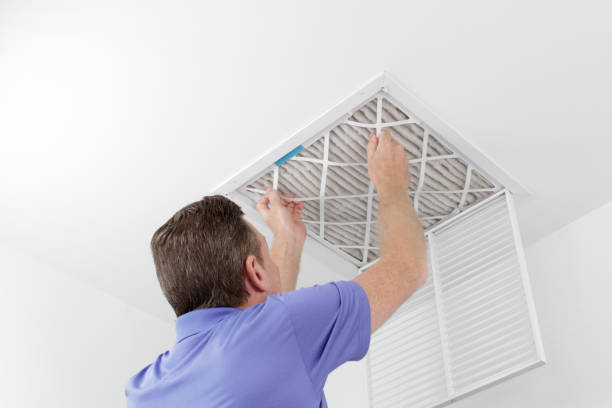 Best Air Duct Sanitizing Services  in Grimes, IA